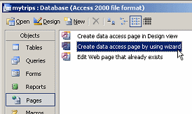 Database Window: Pages - Create data access page by using wizard
