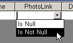 Filter by Form: Right Click Menu: Is Not Null