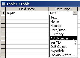 Table Design View: Data Type list - AutoNumber