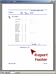 Report Print Preview: Report Footer