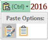 Button: Paste Options - pasting from Word (Excel 2016)