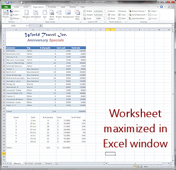 Worksheet maximized in Excel window (Excel 2010)