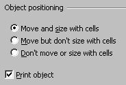 Dialog: Format - oject positioning section