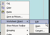 Right Click Menu: Worksheet Object- Edit