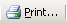 Button: Print... on Print Preview toolbar (2003)