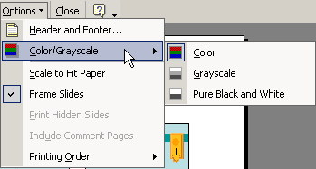 Menu: Options in Print Preview - Color/Grayscale