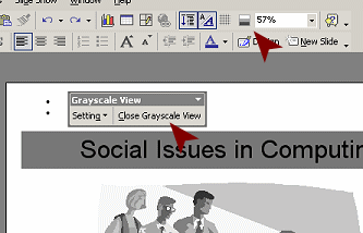 Slide in grayscale; Color button shows gray scale