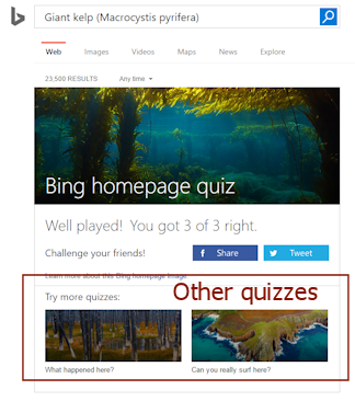 Bing: Image links to other quizzes