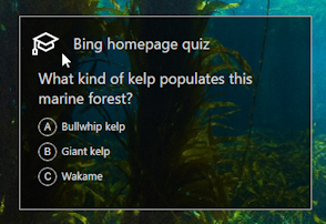 Bing: Question 1 of the day