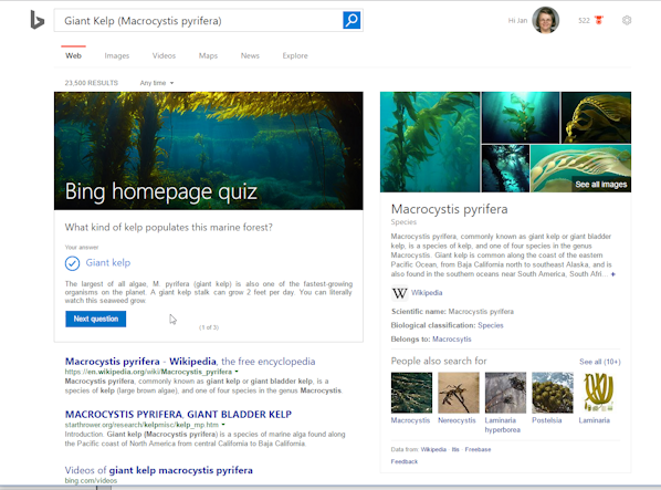 Bing: Quiz results page 