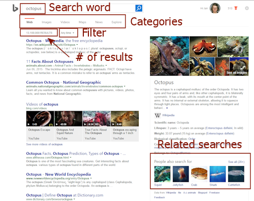 Bing results - labeled 