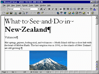 NZinfo.doc - three page brochure on New Zealand