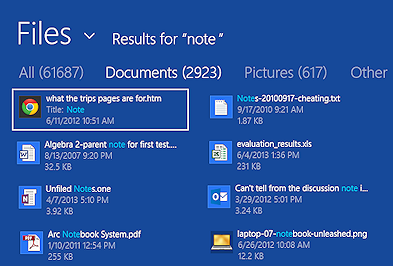 Different file types have different icons in the search results (Win8)