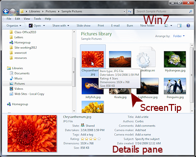 Computer windows with Details pane (Win7)