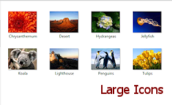 Large Icons for folder of pictures (Win8)