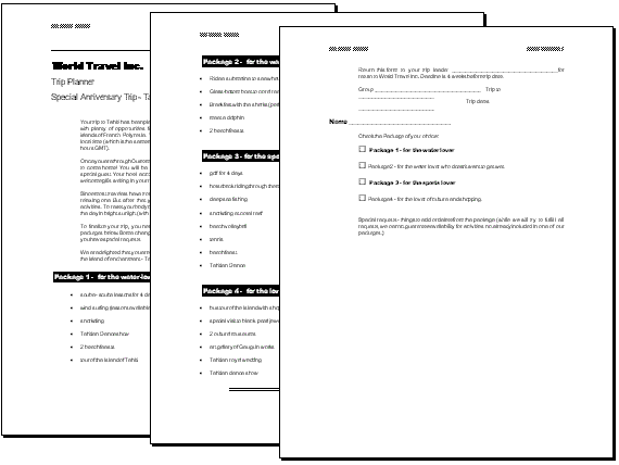 Document after formating with Professional Report template