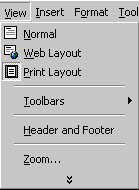 View menu in Word 2000 showing recently used commands.