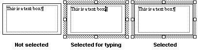 Text boxes - not selected, selected for typing, box selected