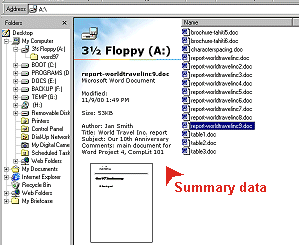 Explorer showing web view of file