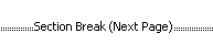 Text - Section Break (Next Page)
